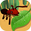 蚂蚁进化3D九游版