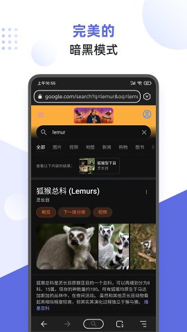 lemur狐猴浏览器经典版