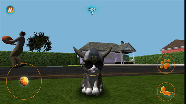 真实小猫3D模拟手机版